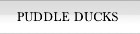 Puddle Duck Hunts